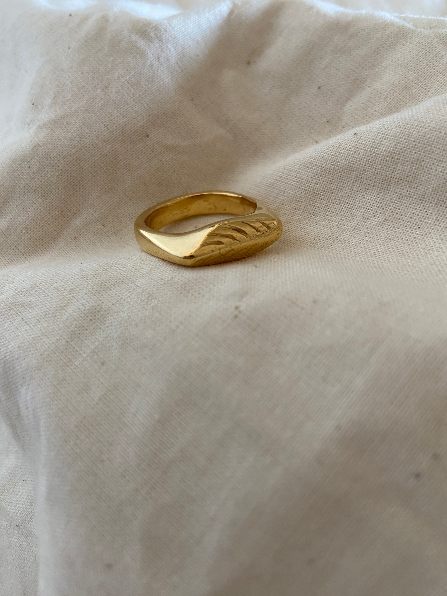 Ring Making Workshop - various dates